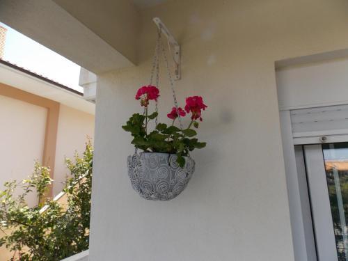 Apartamento Aggelos 60m2 Maisonette