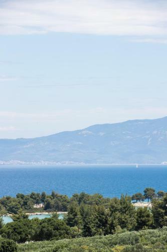 The Euphoria Club Luxury Villas