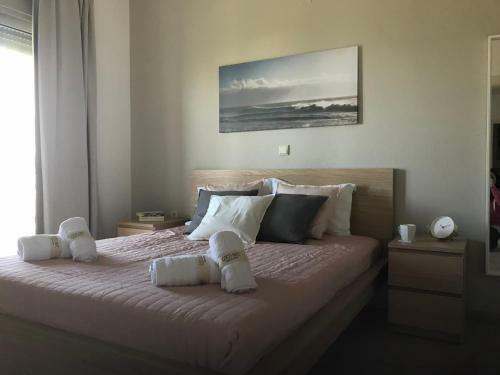 B.a Seaside Villa