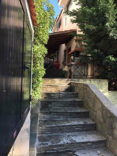 Maria's House 1