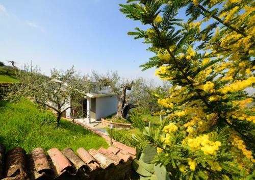 Villa Laur� With Private Pool