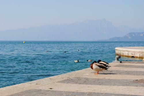 Apartamento Dreaming Lazise