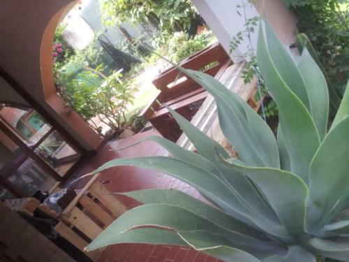 Casa Telly