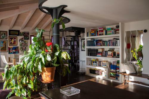 Apartamento Moderno E Tranquillo Appartamento Nel Verde