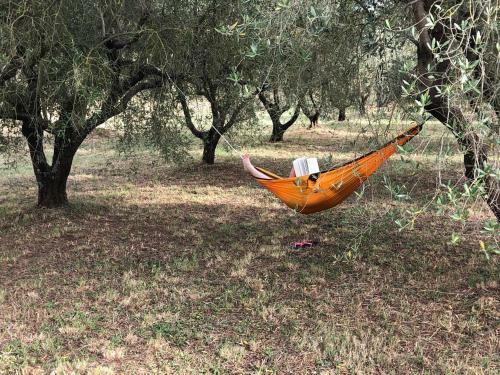 Marta Casa Delle Rose