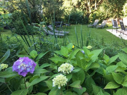 Hostal Pension Und Apartment Haus Angelika