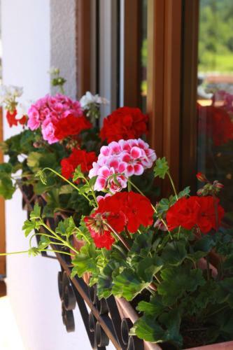 Bed & Breakfast Haus Salzkammergut