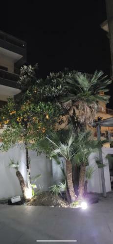 Apartamento Scauri Inn