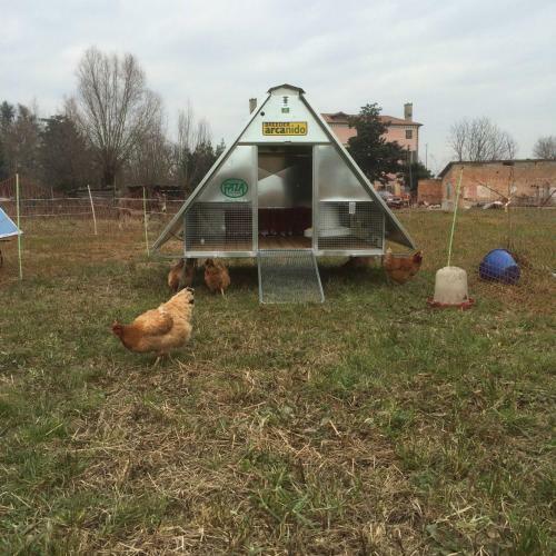 Agroturismo Pecore Ribelli