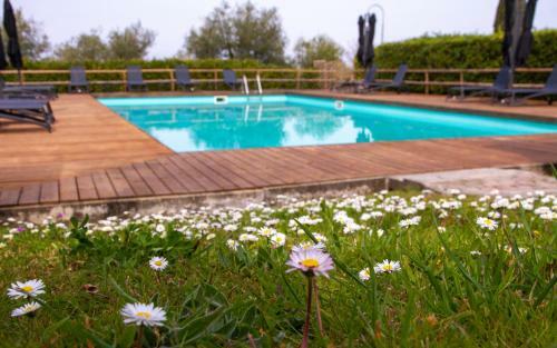 Montevecchio Apartments