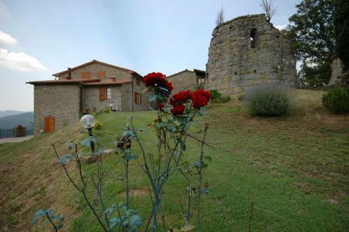 Apartamento Agriturismo Badia Ficarolo