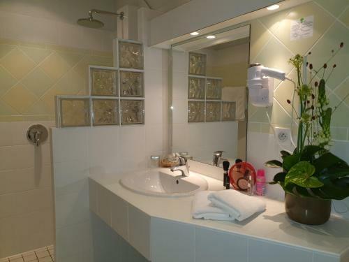 Hotel Hostellerie De Bretonniere