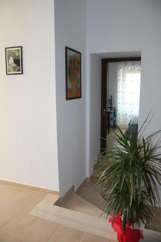B&B Ilgirasole