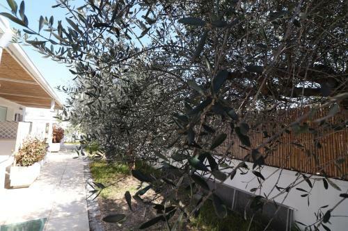 Casa Ginevra Lu Sule A Otranto