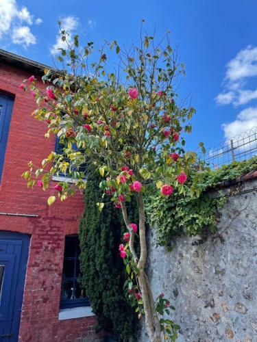 Grande Maison de P�cheur, Confortable Et Accueillante