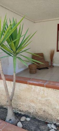 Casa Vacanze Villa Rita