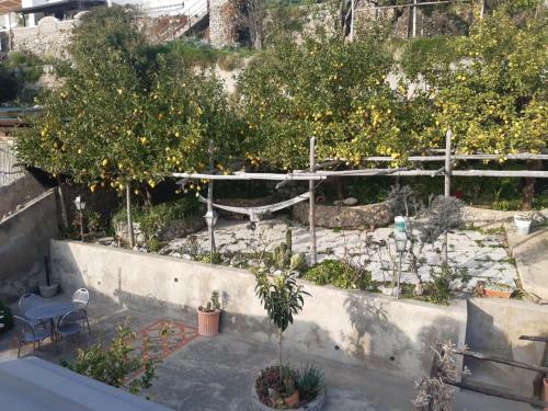 Giardino Eden