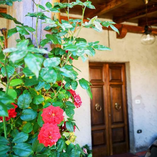 Ulivella Holiday Home