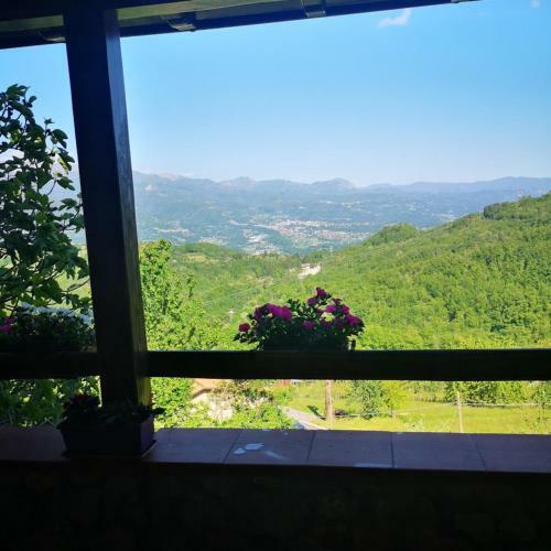 Ulivella Holiday Home