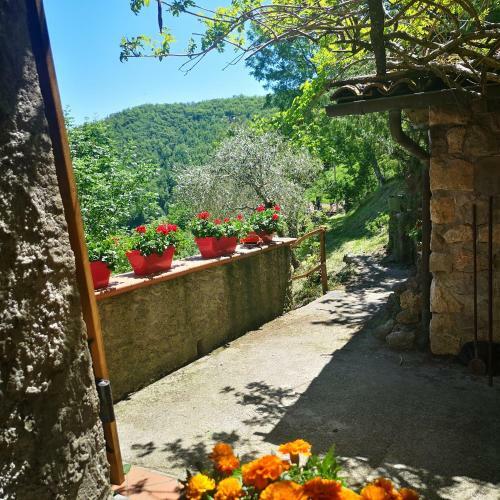 Ulivella Holiday Home