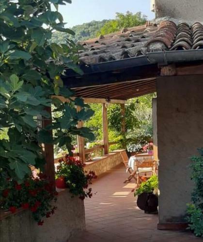 Ulivella Holiday Home