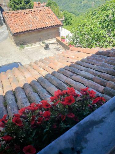 Ulivella Holiday Home