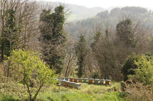 Bed & Breakfast Il Nostro Sogno