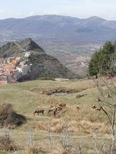 B&B Petra Castalda