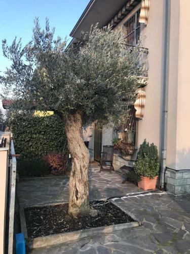 Casa Giulietta