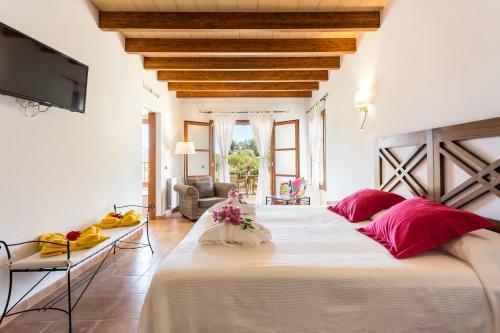 Hotel Son Ametler