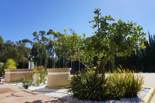 Hotel Complejo Tur�stico Rural Nazaret de Moguer