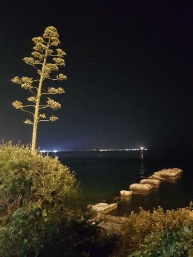 Apartamento Brau&frau