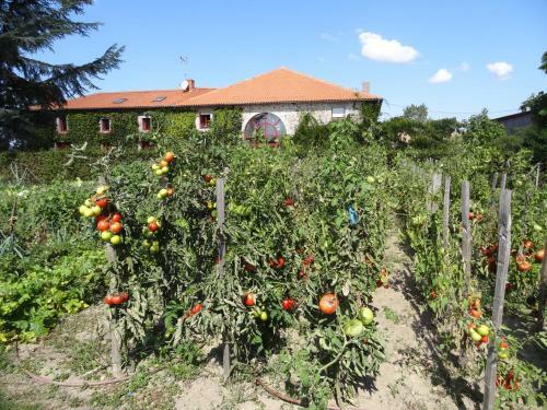 Hostal La Ferme De Rouffignac