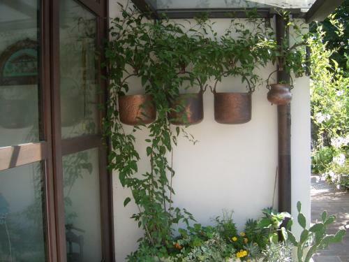 B&B Scaccia Pensieri