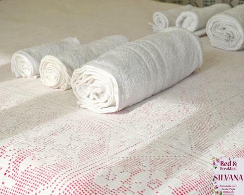 Bed And Breakfast Silvana