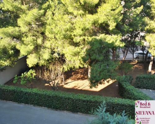 Bed And Breakfast Silvana