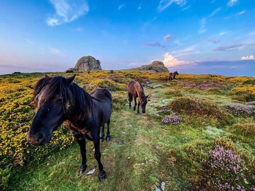 Apartamento Haytor Court, Haytor, Dartmoor