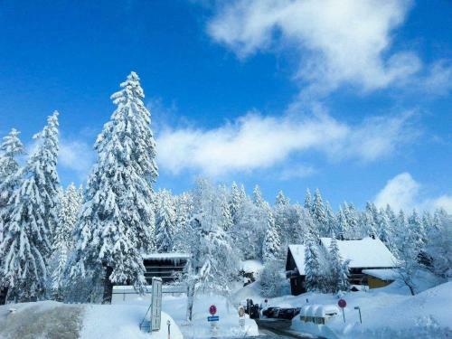 Apartamento Residenz Grafenmatt 1 2