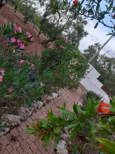 Estate Nel Trullo