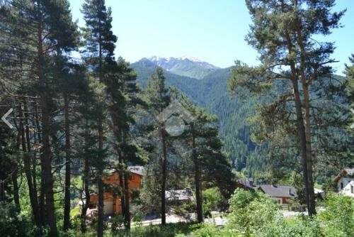 Apartamento Chalet Di Montagna - Ponte Di Legno