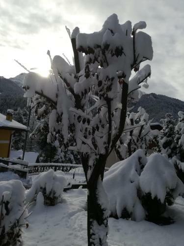 Apartamento Il Nido B&B