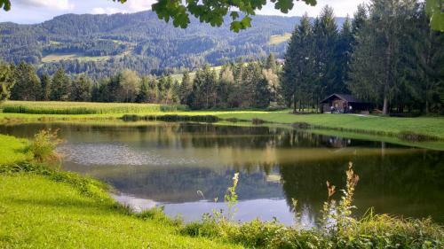 Apartamento Nestlhof