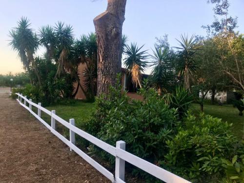 Hostal Casal Baraz