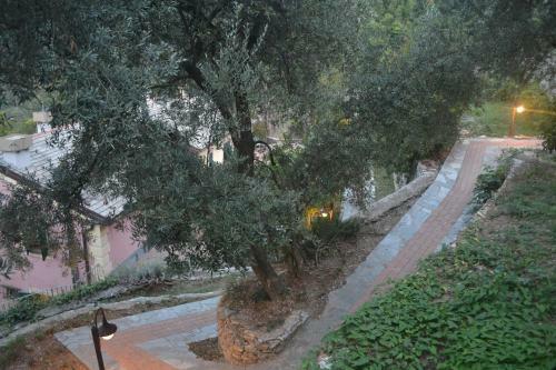 Apartamento Villa Olivari - Apt La Salvia