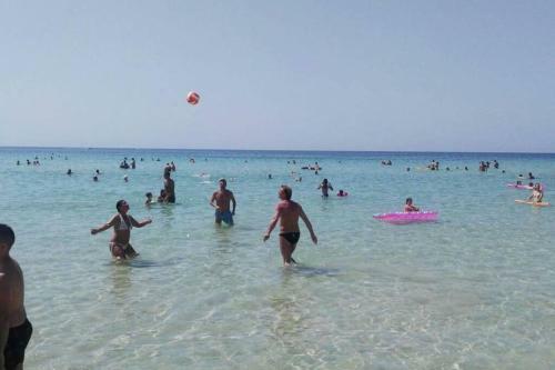 Apartamento Belmare