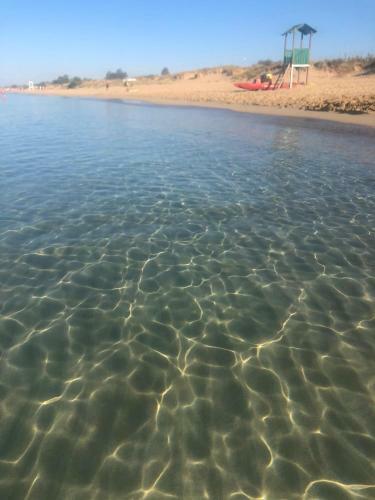 Apartamento Trilo Superior Con Terrazzo Vista Mare A Pescoluse