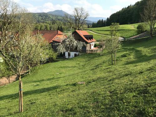 Hostal Pension Ober