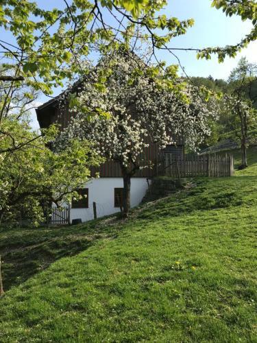 Hostal Pension Ober