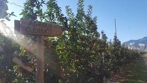 Agroturismo Agritur Clementi