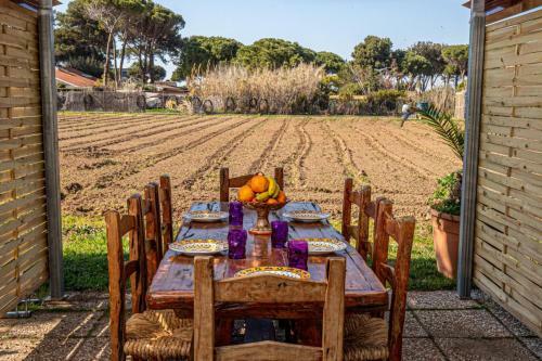 Giannella Tuscany Holidays